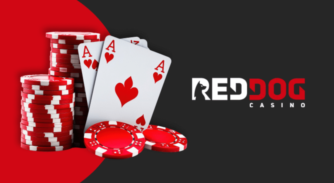 Your Guide to Bonuses at Red Dog Casino 2